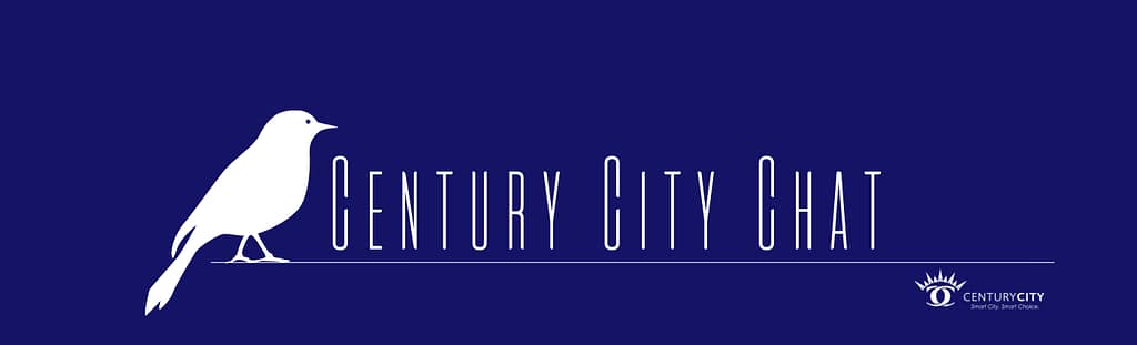 Explore Century City Cape Town: Top Attractions to See 15 What to bring to Table Mountain