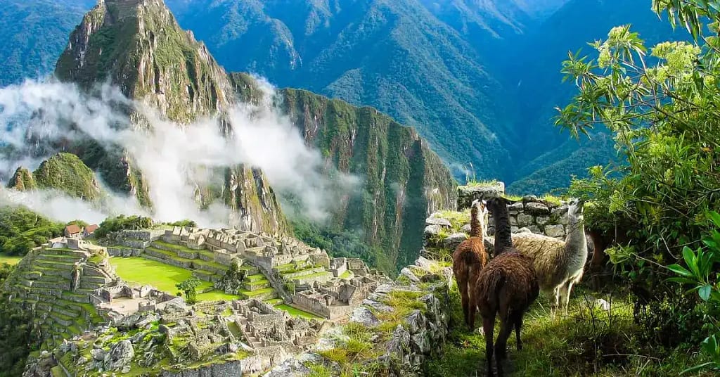 Best Travel Companies for Stress-Free Trips 2 best travel