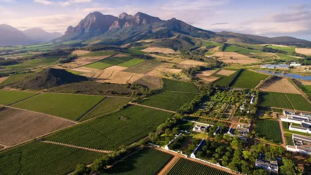 Detailed Review of Franschhoek: South Africa’s Culinary and Wine Haven 80 Franschhoek