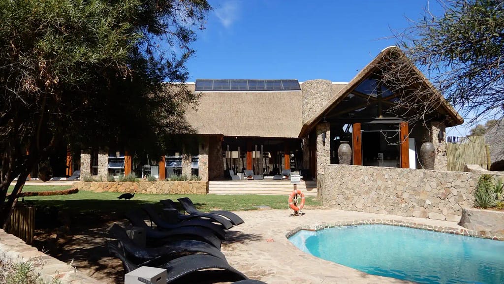 Aquila Safari Review: What to Expect on Your Trip 10 What to expect on safari