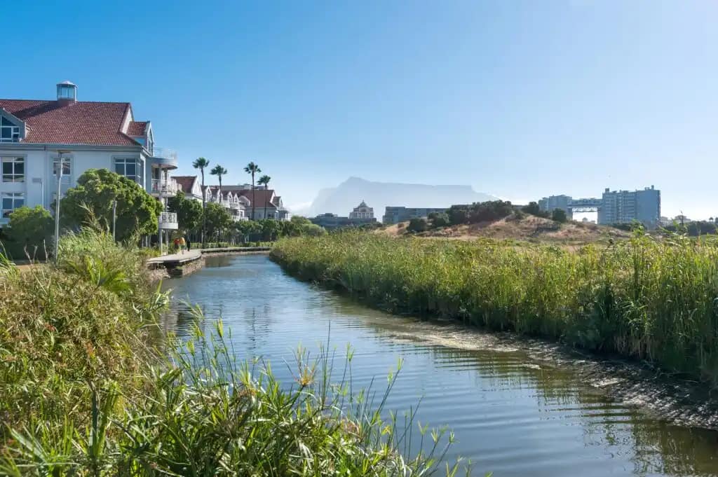 Explore Century City Cape Town: Top Attractions to See 6 Cape Town for top attractions and family fun