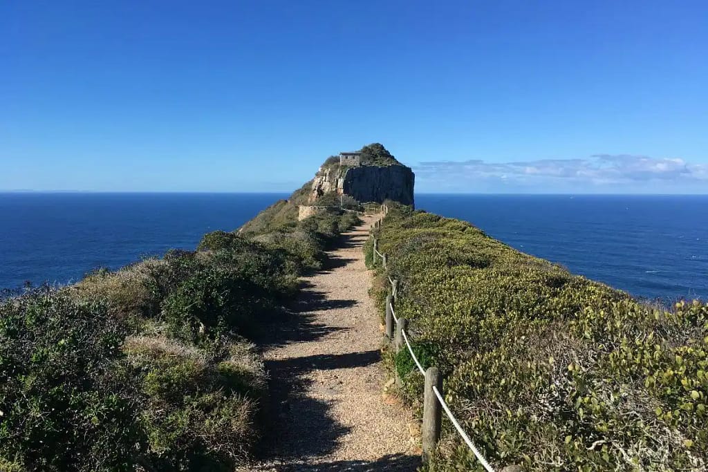 Explore Cape Point’s incredible views. Perfect for nature 9 Cape Point day trip