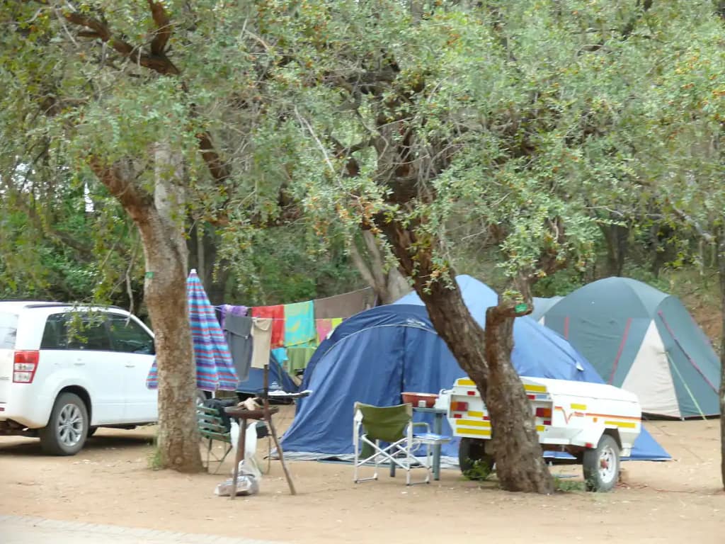 Exploring Kruger National Park: A Complete Guide for Travelers 7 Safari Tour in Kruger National Park