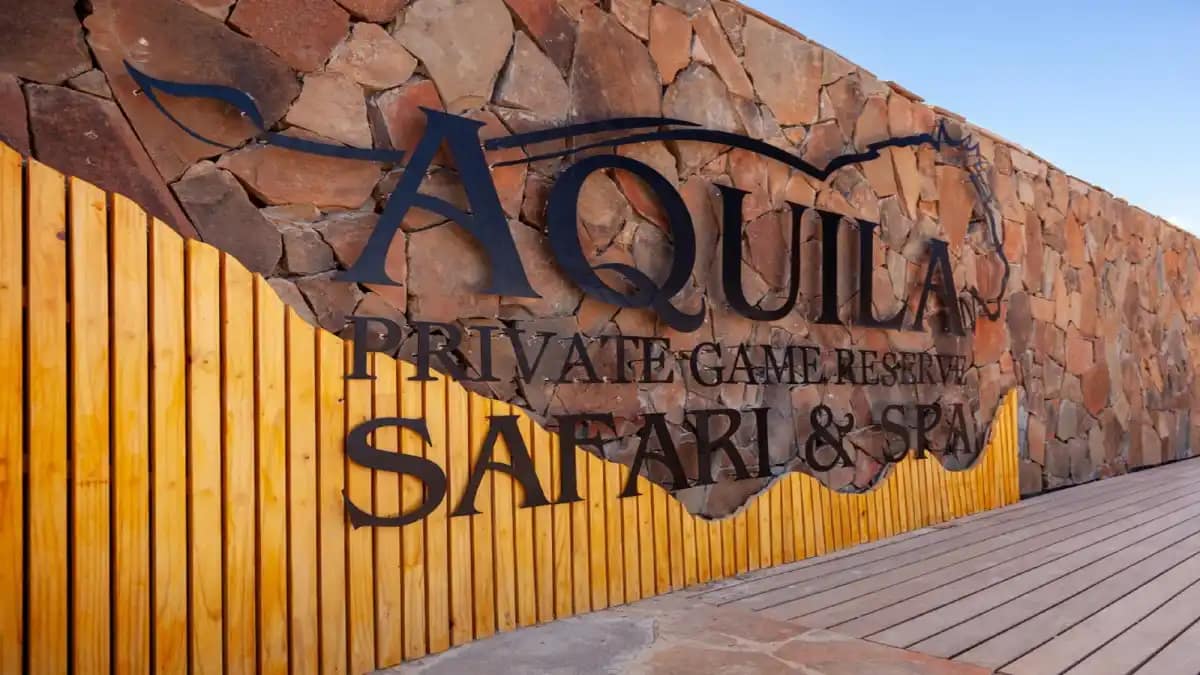Aquila Safari Review: What to Expect on Your Trip 77 Aquila Safari Trip