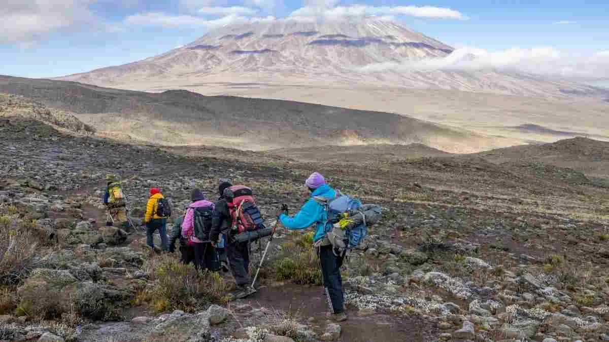 Conquer Kilimanjaro: Your Ultimate Climbing Guide for an Unforgettable Adventure 25 Best time to climb Kilimanjaro