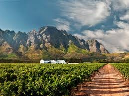 Detailed Review of Franschhoek: South Africa’s Culinary and Wine Haven 5 Local wine producers