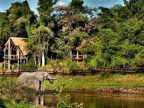 Best Time To Visit Victoria Falls: A Comprehensive Travel Guide 13 th 4