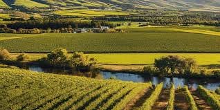 Detailed Review of Franschhoek: South Africa’s Culinary and Wine Haven 4 Wine tasting experiences