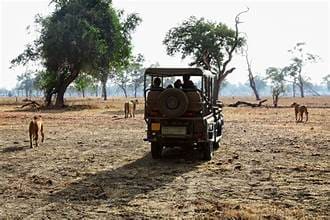 Best Time To Visit Victoria Falls: A Comprehensive Travel Guide 7 How to get to Victoria Falls