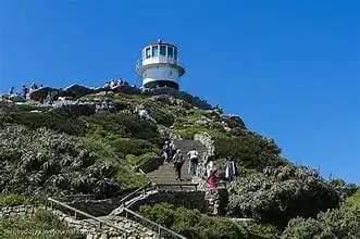Explore Cape Point’s incredible views. Perfect for nature 3 Cape Peninsula