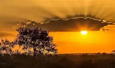 Exploring Kruger National Park: A Complete Guide for Travelers 13 Essential safari gear