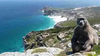 Explore Cape Point’s incredible views. Perfect for nature 4 Cape Point views