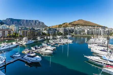 Explore the V&A Waterfront: Best Places to Visit for Travelers 14 From lively markets to scenic boat rides