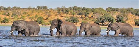Best Time To Visit Victoria Falls: A Comprehensive Travel Guide 14 the victoria falls deluxe suites