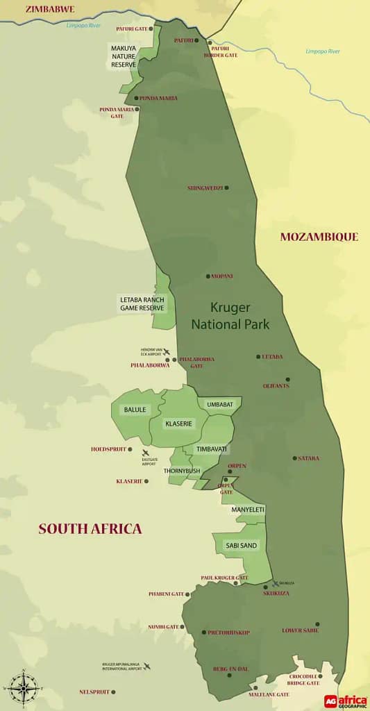 Exploring Kruger National Park: A Complete Guide for Travelers 4 Best spots for wildlife viewing in Kruger