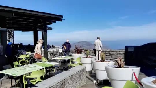 Explore Table Mountain: Your Guide to Nature and Views 5 Endemic species Table Mountain