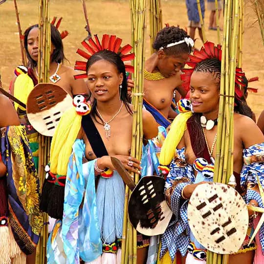 Explore Eswatini: 12 Astonishing Facts About Africa's Hidden Kingdom - Travel Guide 17 Group of women in traditional attire, adorned with colorful fabrics, ornate headpieces, and shields, participating in a cultural celebration.