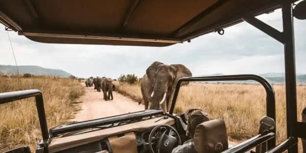 redcharlie-nf7W_hn6DKQ-unsplash BookAllSafaris legit