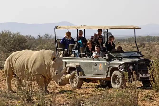 Aquila Safari Review: What to Expect on Your Trip 11 Transportation to Aquila