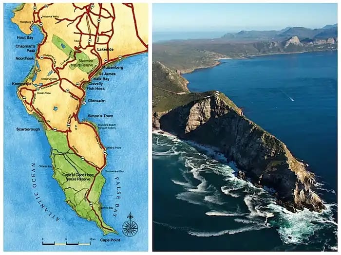 Explore Cape Point’s incredible views. Perfect for nature 11 Cape Point wildlife