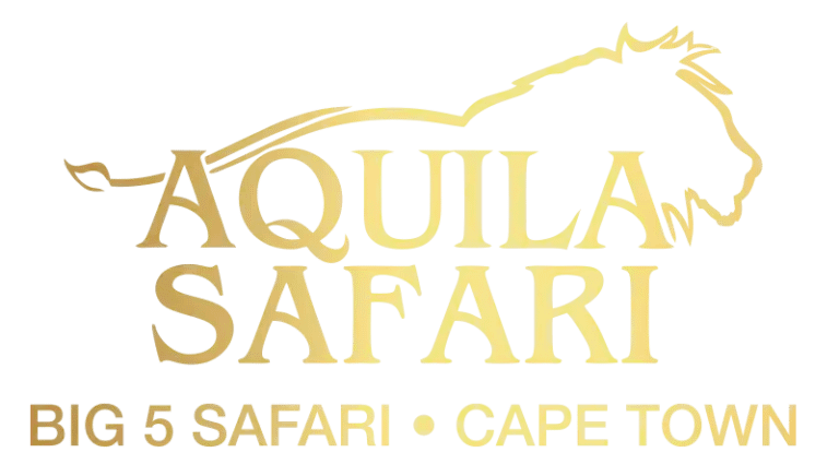 Aquila Safari Review: What to Expect on Your Trip 2 Discover Aquila