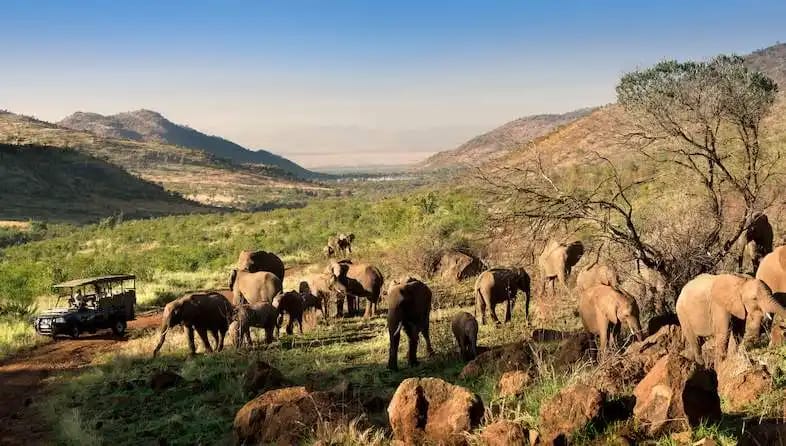 Discover Sun City: South Africa’s Premier Resort for Fun and Adventure 2 Sun City Resort
