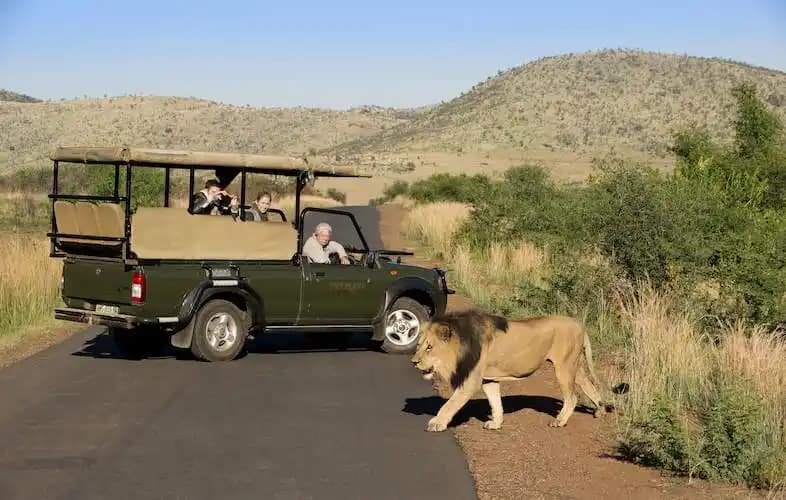 Discover Sun City: South Africa’s Premier Resort for Fun and Adventure 13 Sun City weather