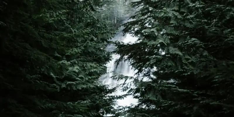 Exploring Vancouver's Natural Beauty: Stanley Park, Grouse Mountain, and Beyond 5 Grouse Mountain activities