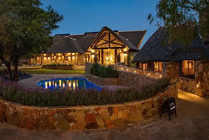 Aquila Safari Review: What to Expect on Your Trip 7 Wildlife spotting for kids