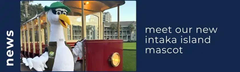 Explore Century City Cape Town: Top Attractions to See 16 Picnic spots Table Mountain