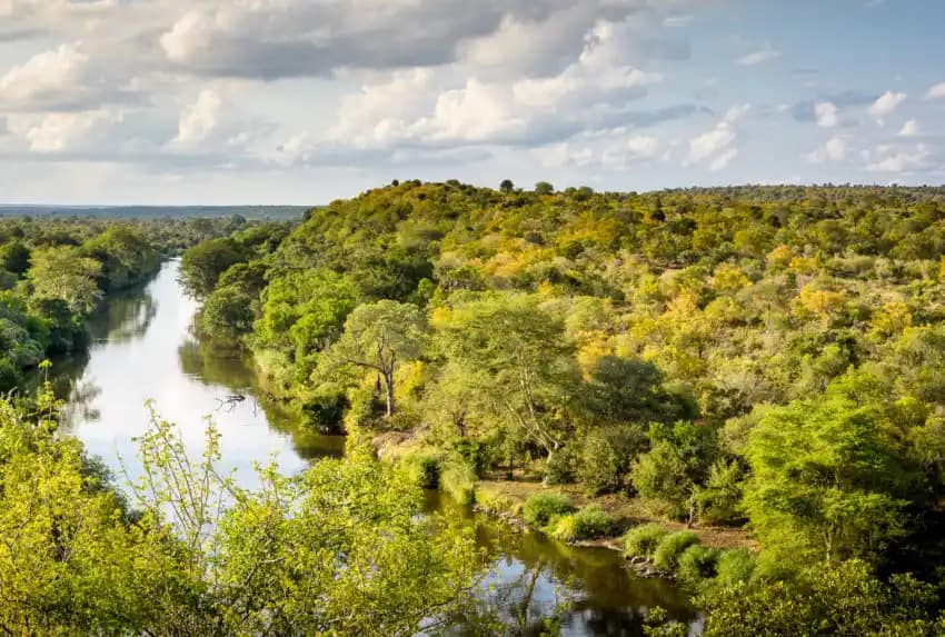Exploring Kruger National Park: A Complete Guide for Travelers 12 Safety tips for a safari in Kruger