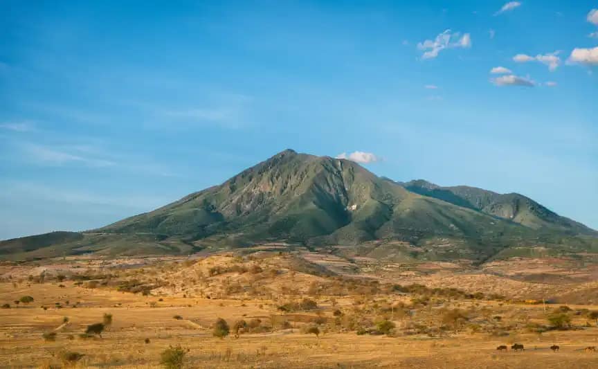 Experience the Magic of Safari with BookAllSafari 5 Realizing your safari dreams