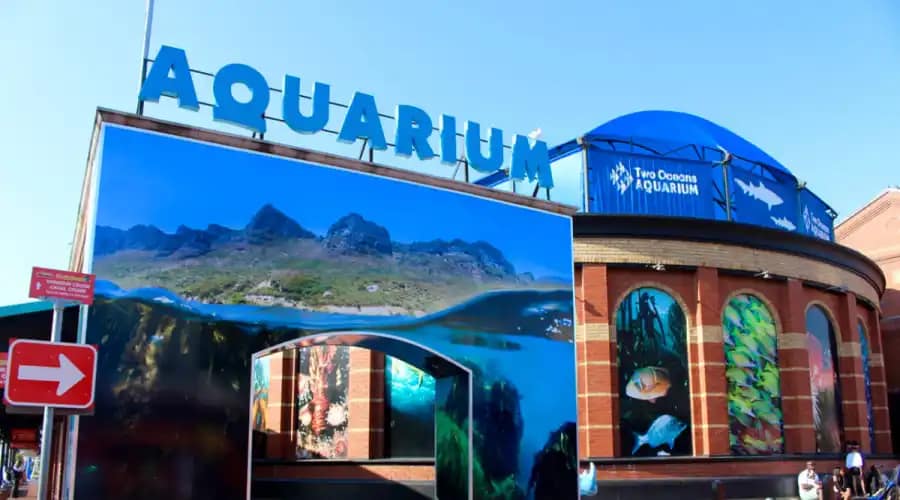 Explore the V&A Waterfront: Best Places to Visit for Travelers 4 Two Oceans Aquarium