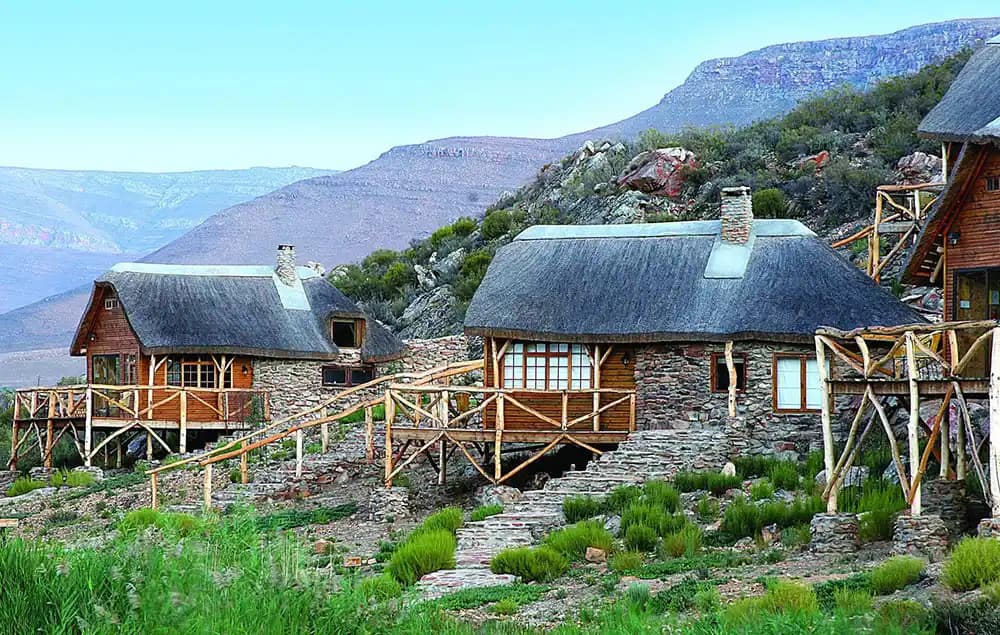 Aquila Safari Review: What to Expect on Your Trip 5 aquila private game reserve room premier chalet