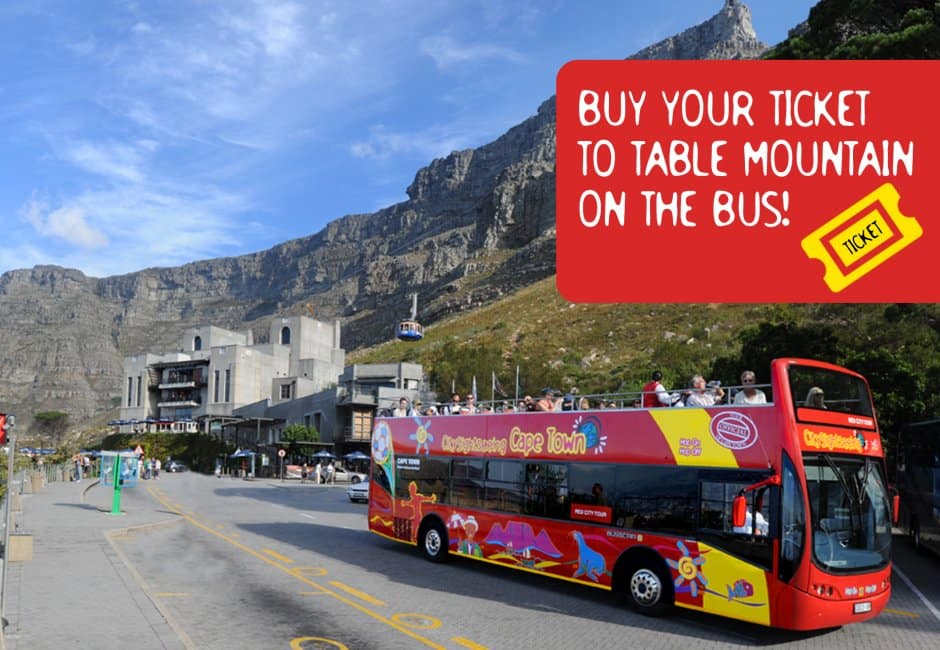 A Family Guide to Outdoor Activities on Table Mountain 11 my Citi bus